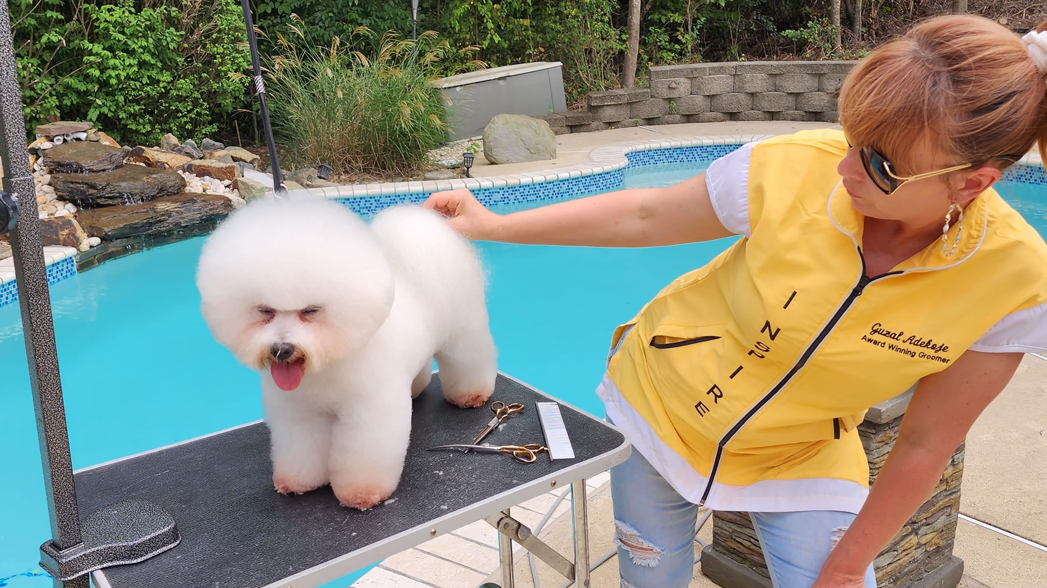 DIY Ideas to Personalize Your Pet Grooming Smock