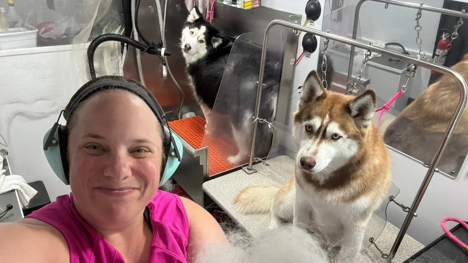 Mobile Grooming vs. Salon: Which Is Right for You?