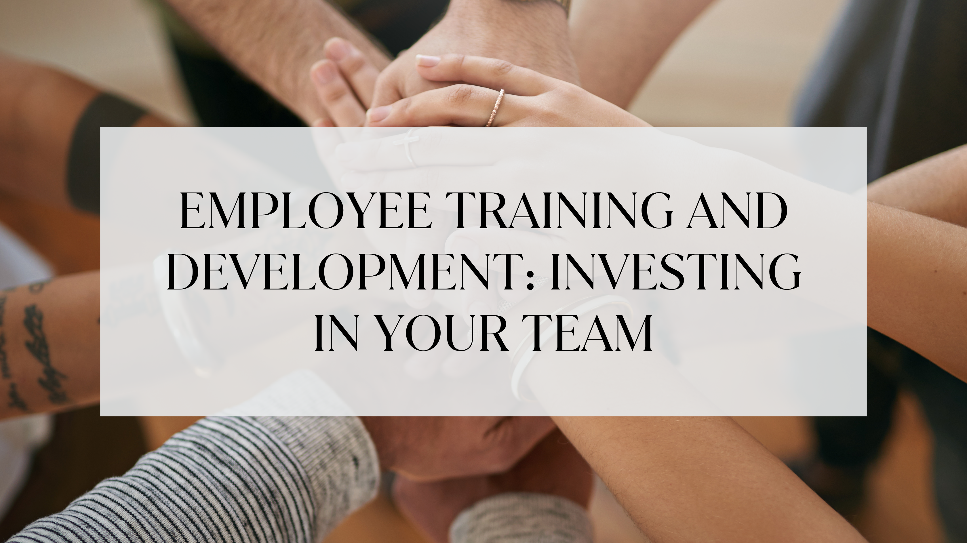 Employee Training and Development: Investing in Your Team