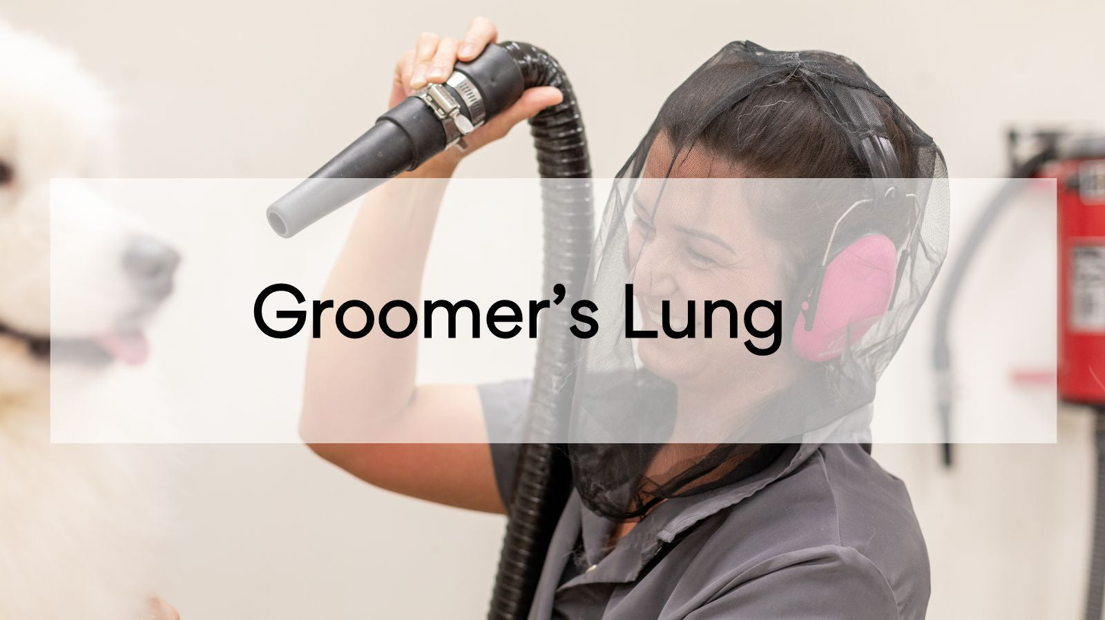 Groomer's Lung