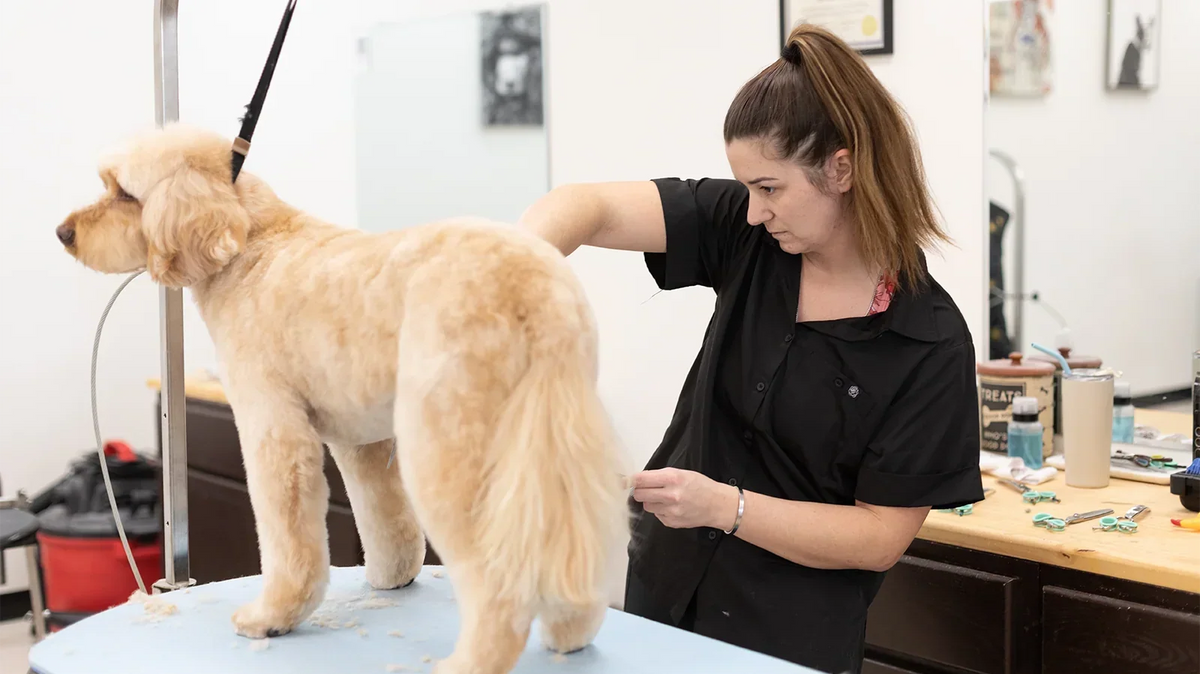 How to Stay Cool and Comfy While Grooming