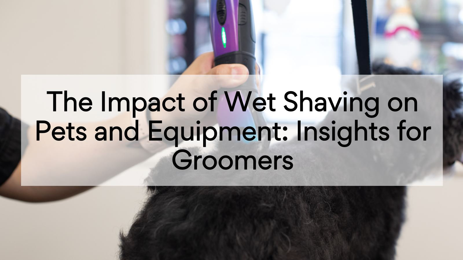 The Impact of Wet Shaving on Pets and Equipment: Insights for Groomers