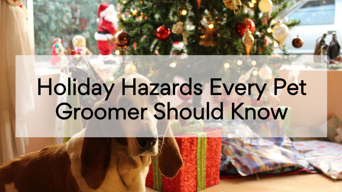 Holiday Hazards Every Pet Groomer Should Know