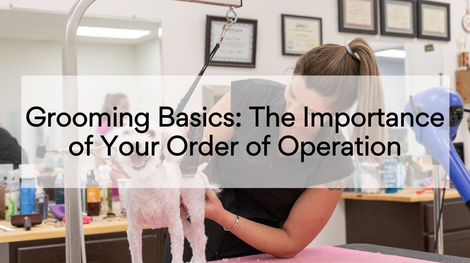 Grooming Basics: The Importance of Your Order of Operation