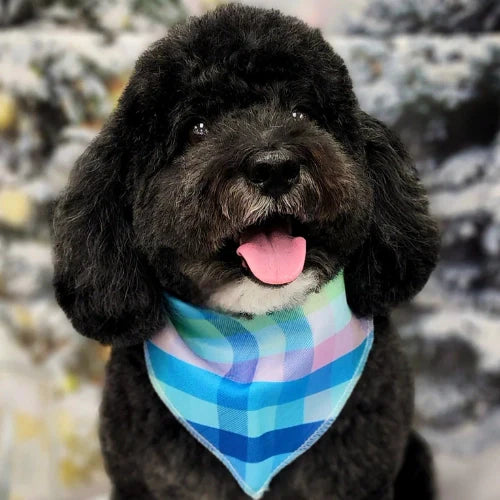 Checkers/Plaid Bandanas