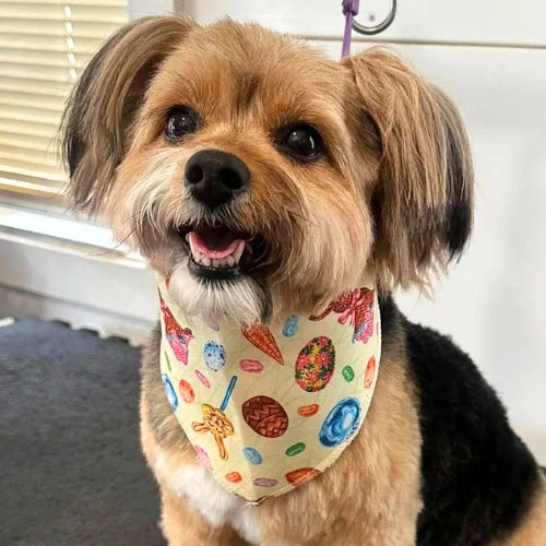 Easter Bandanas