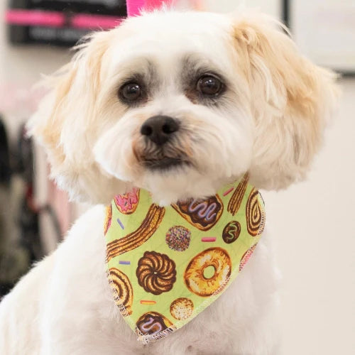 Food Bandanas