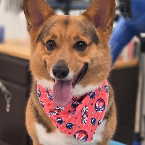 Seasonal Bandanas