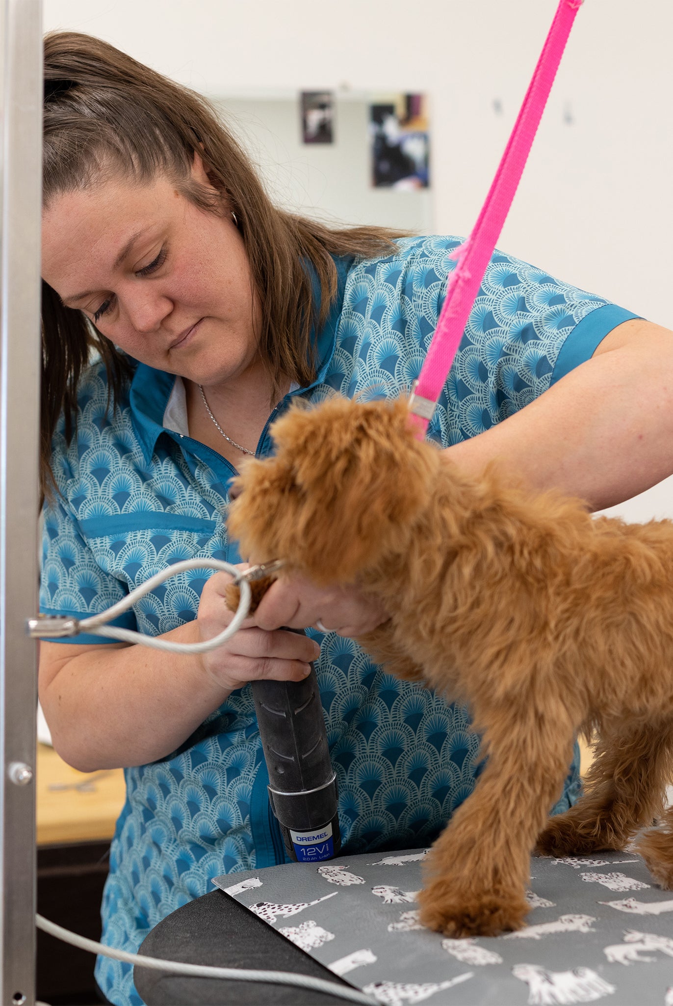 women's and men's grooming smocks