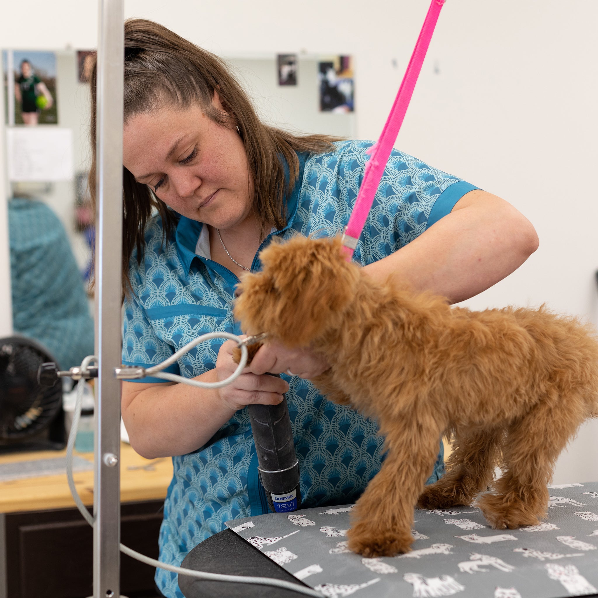 women's and men's grooming smocks