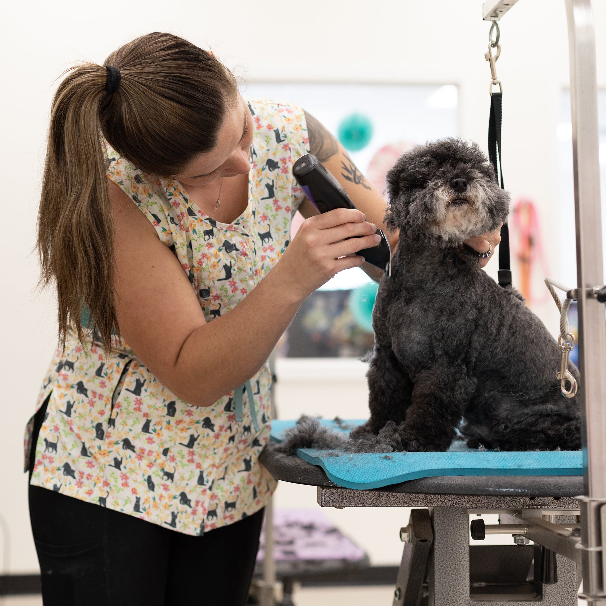 grooming smock with fun patterns