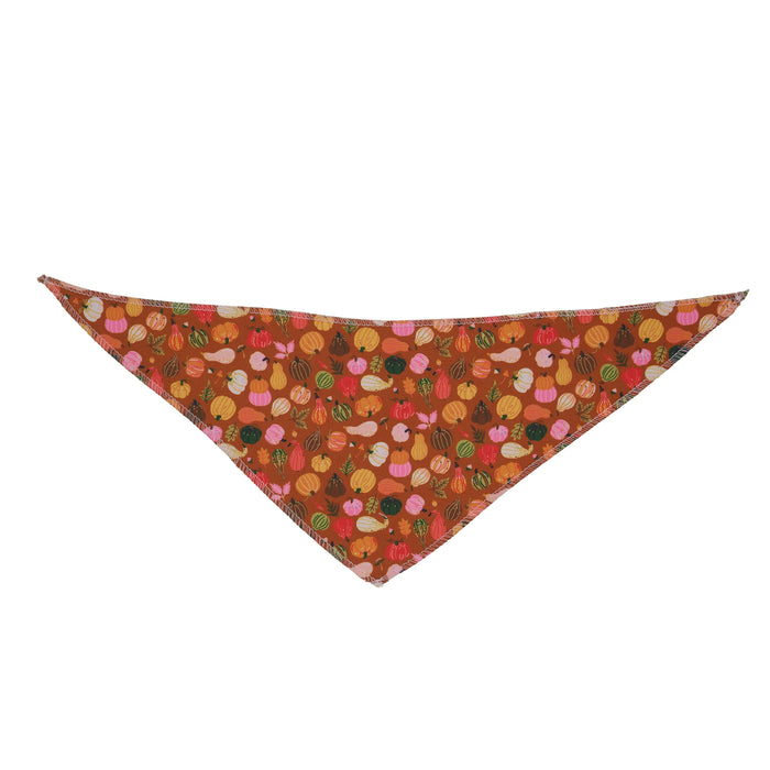 Pumpkin Parade Bandanas - 12 pack dog grooming bandanas