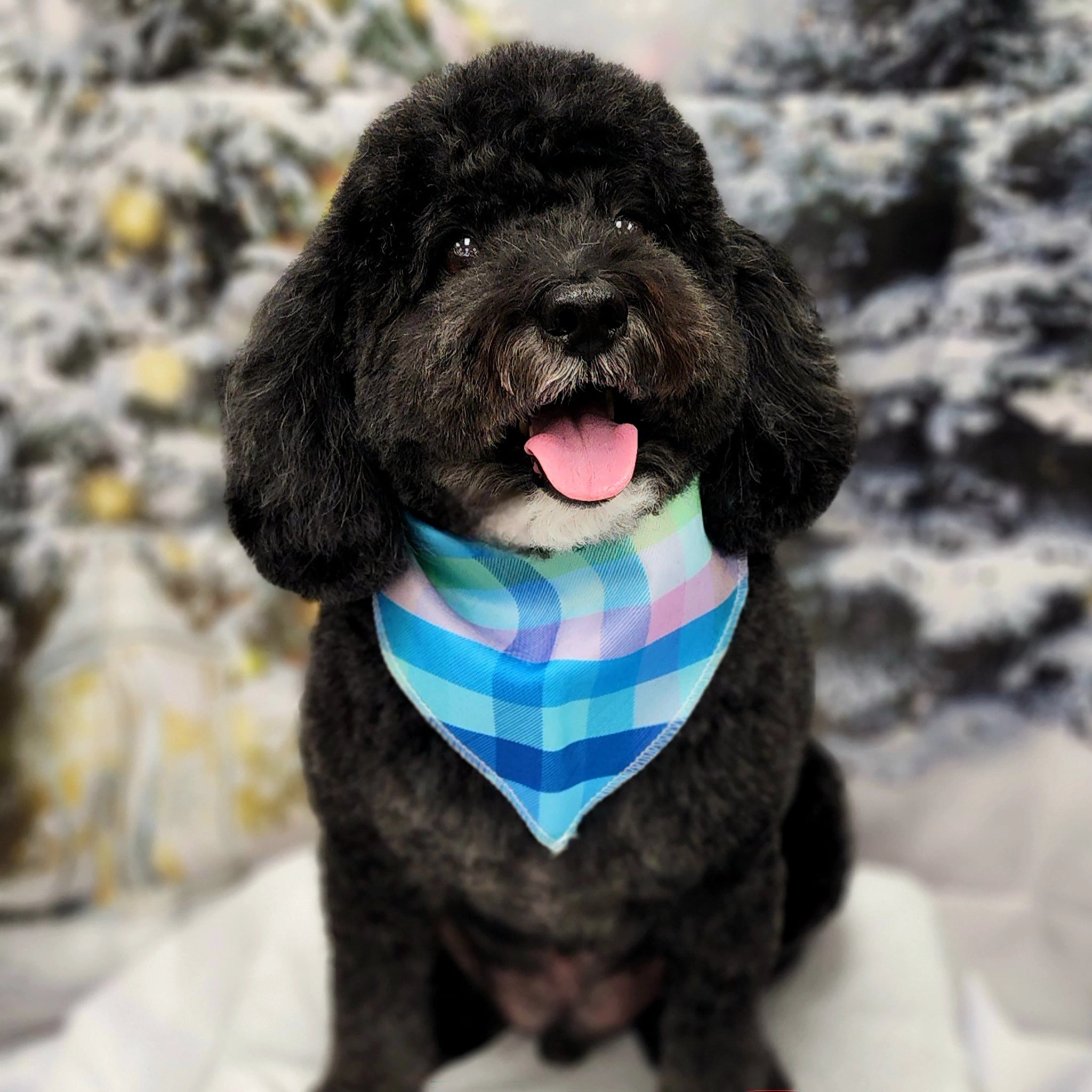 Dog wearing a colorful bandana with a Christmas tree in the background