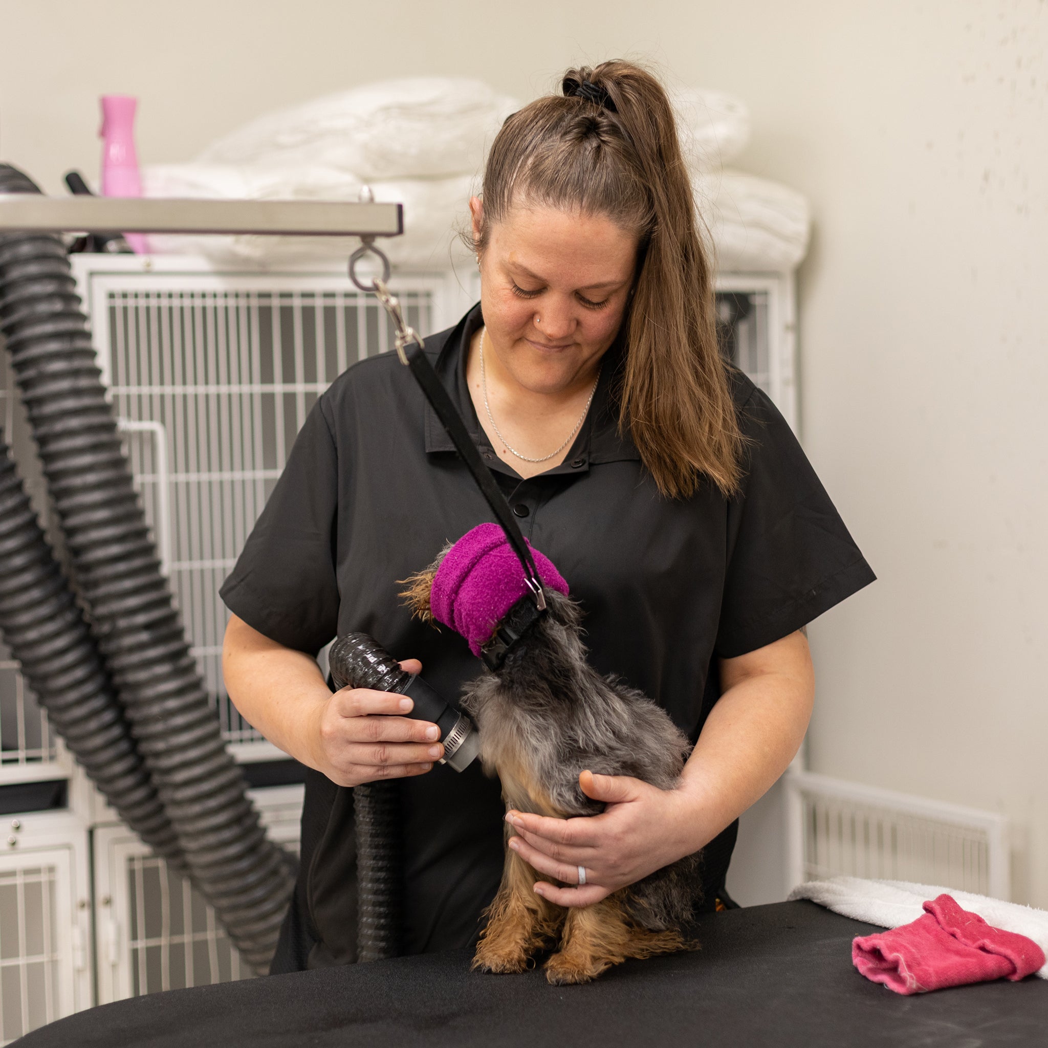 black dog grooming smock