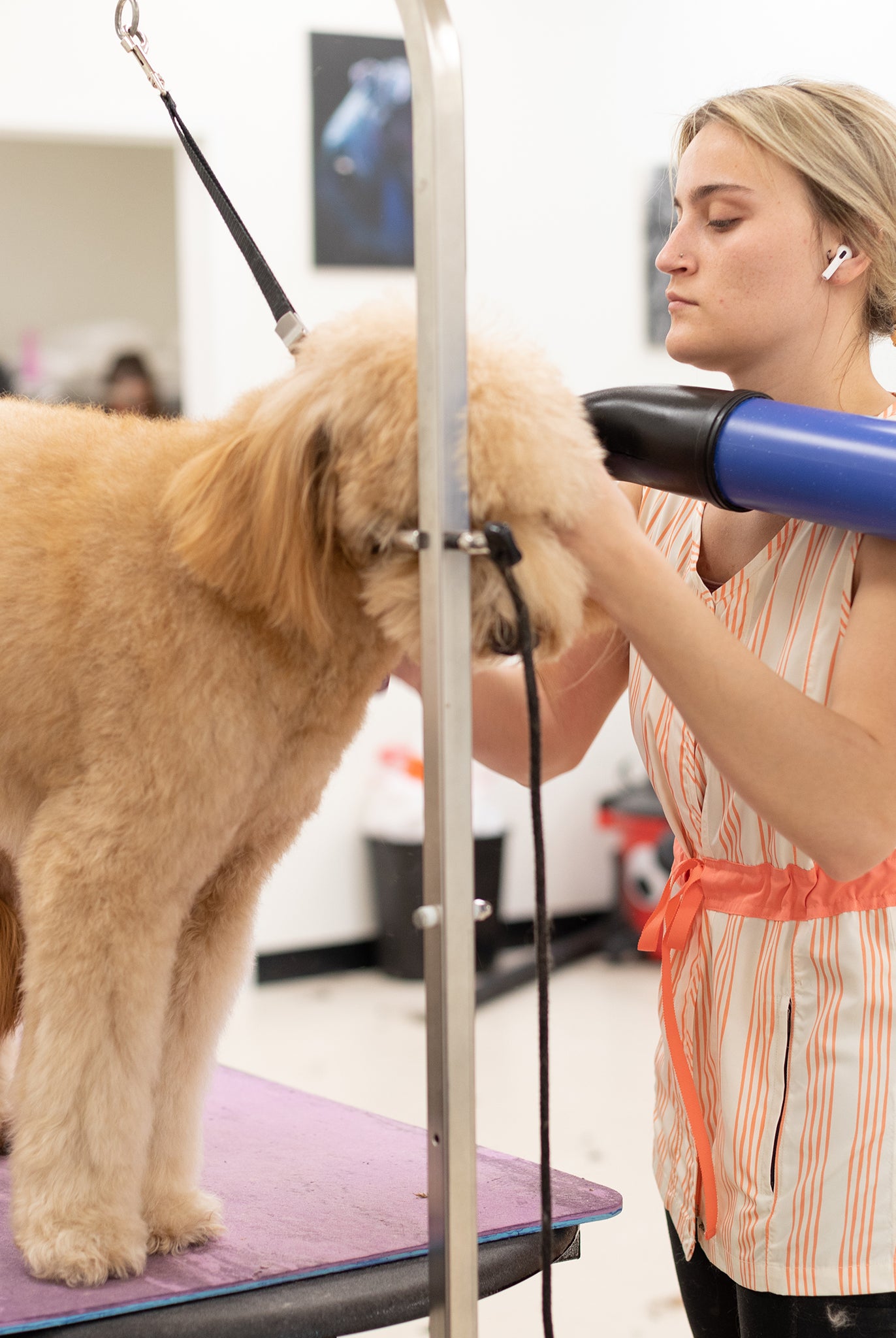 sleeveless dog grooming smock for women
