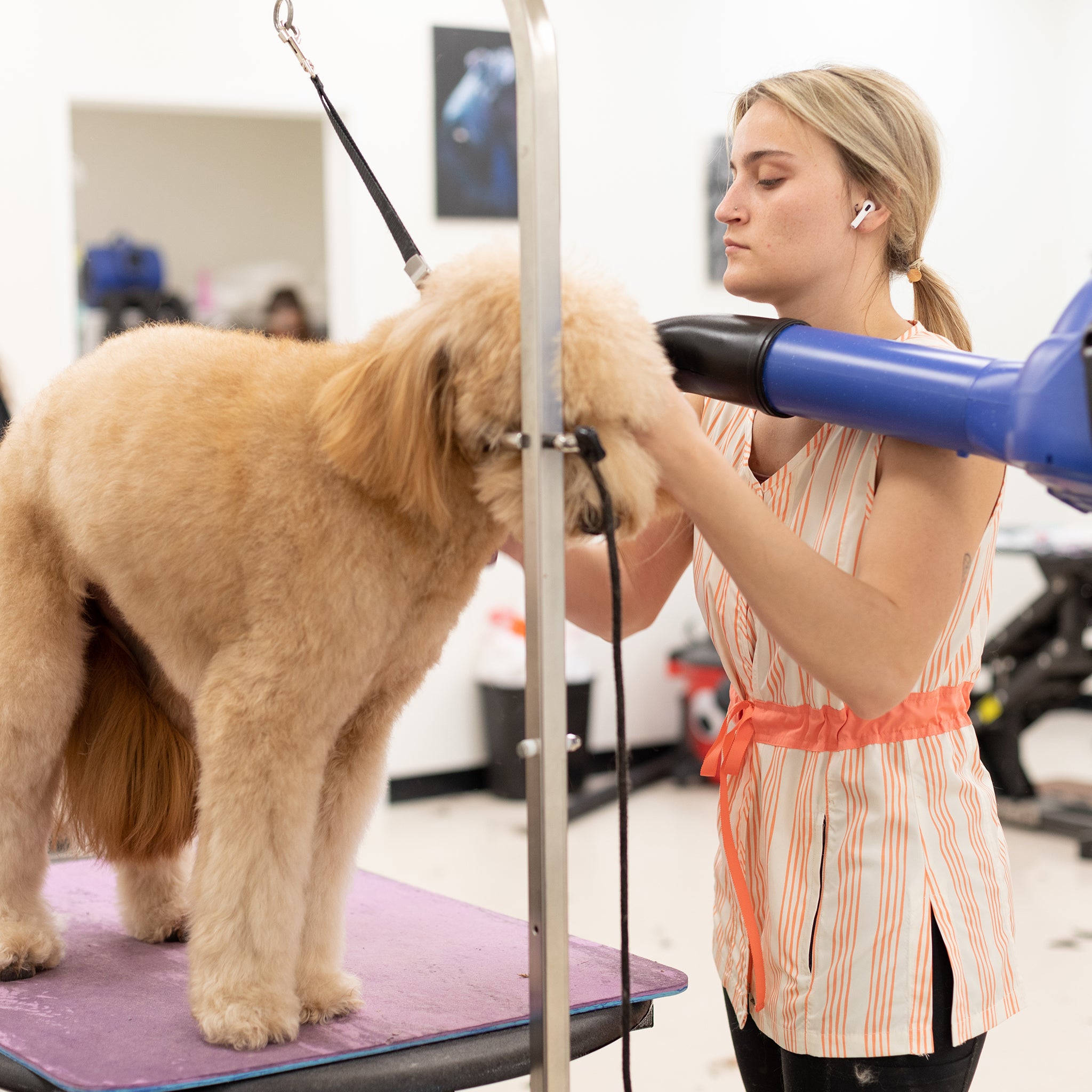 sleeveless dog grooming smock for women