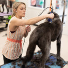 trendy dog grooming smock for women