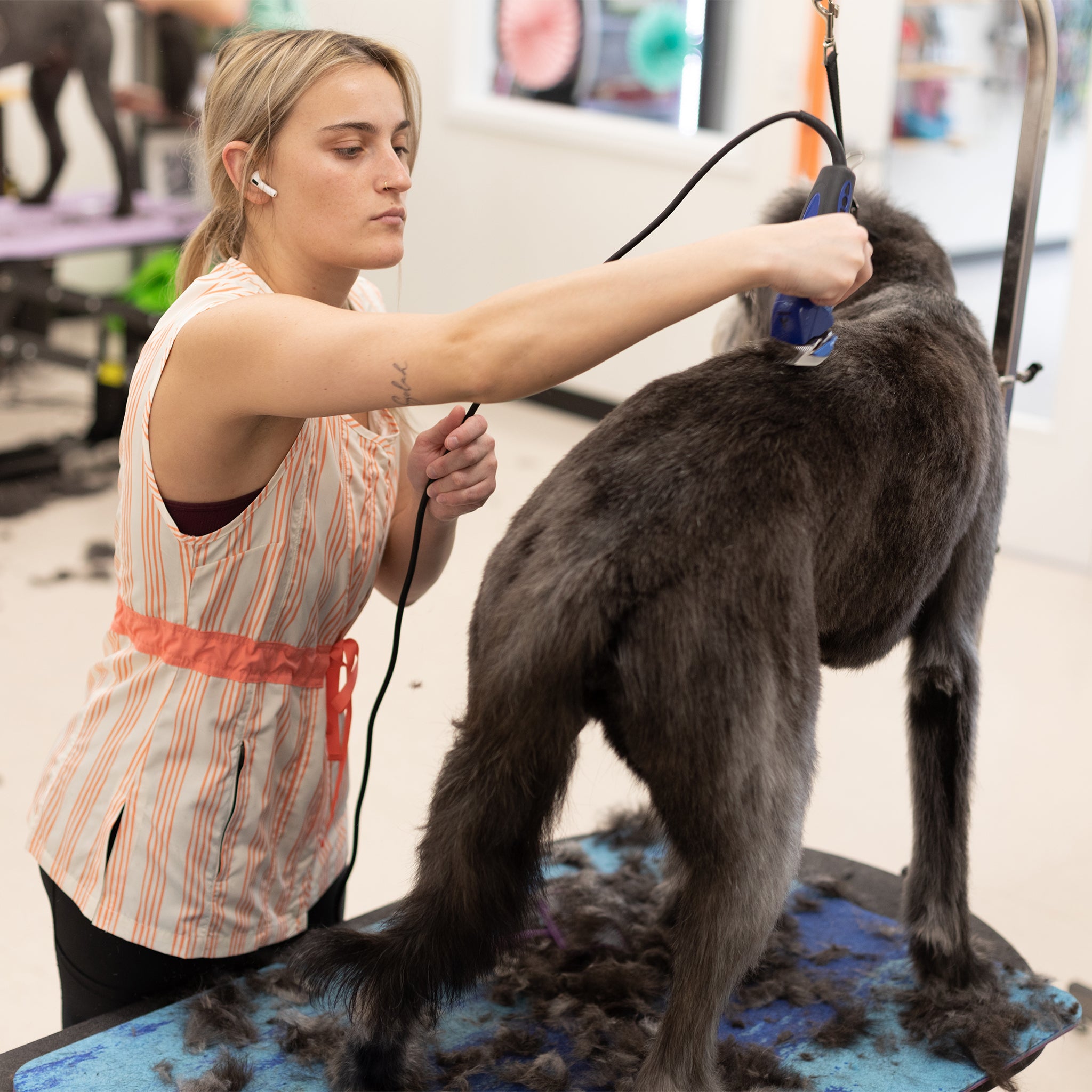 trendy dog grooming smock for women