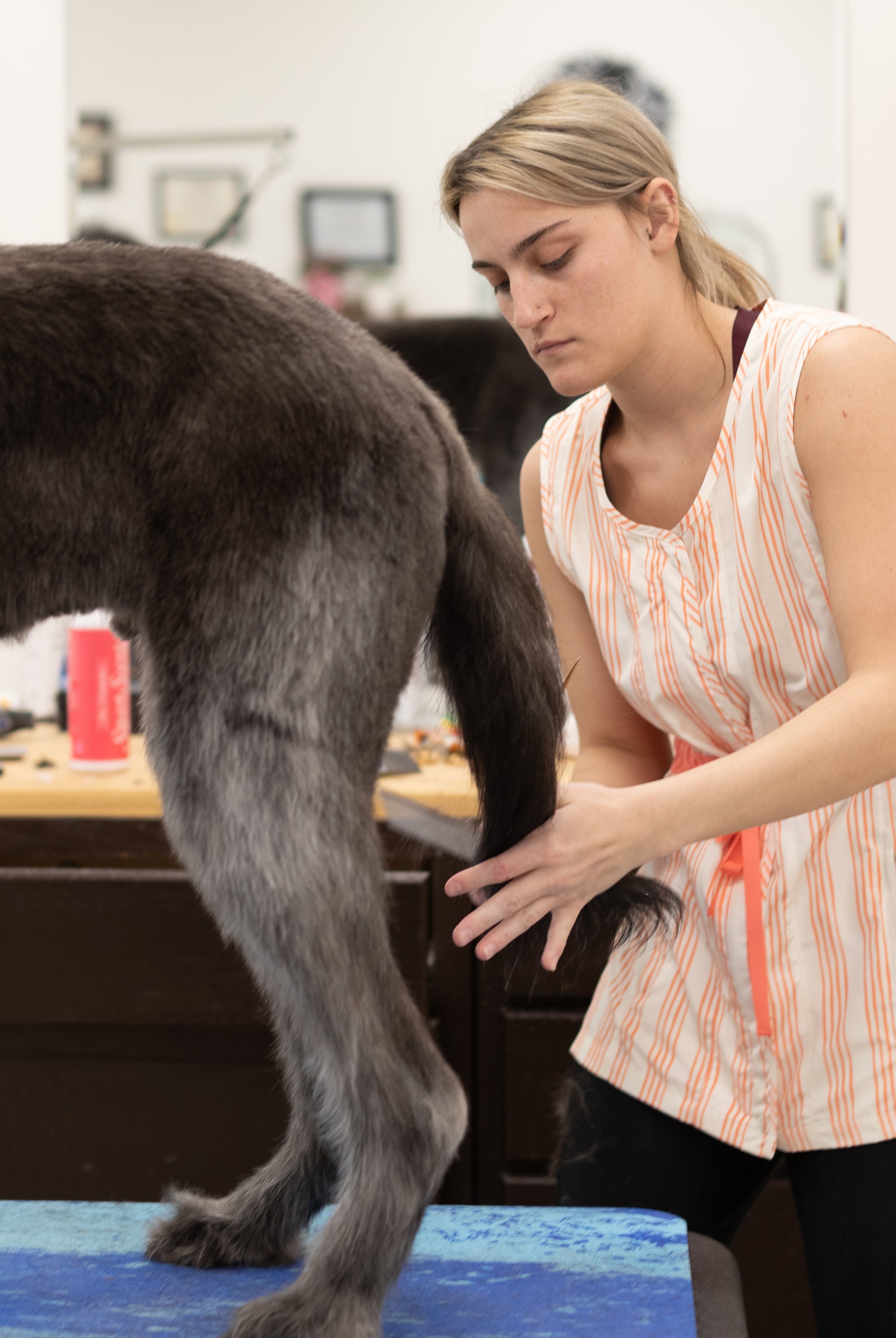 fun dog grooming smock, water resistant, water proof