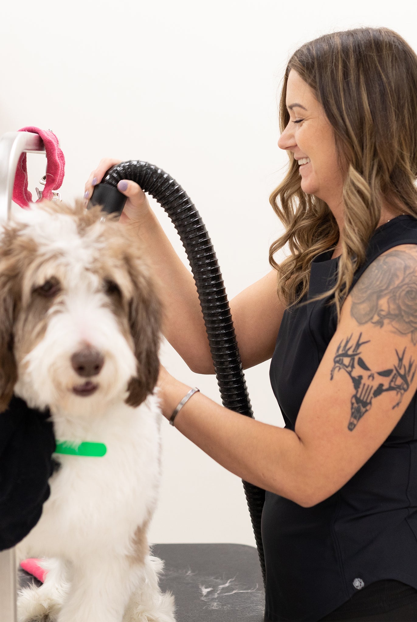 water resistant hair resistant clothes for groomers, ladies grooming smock without sleeves