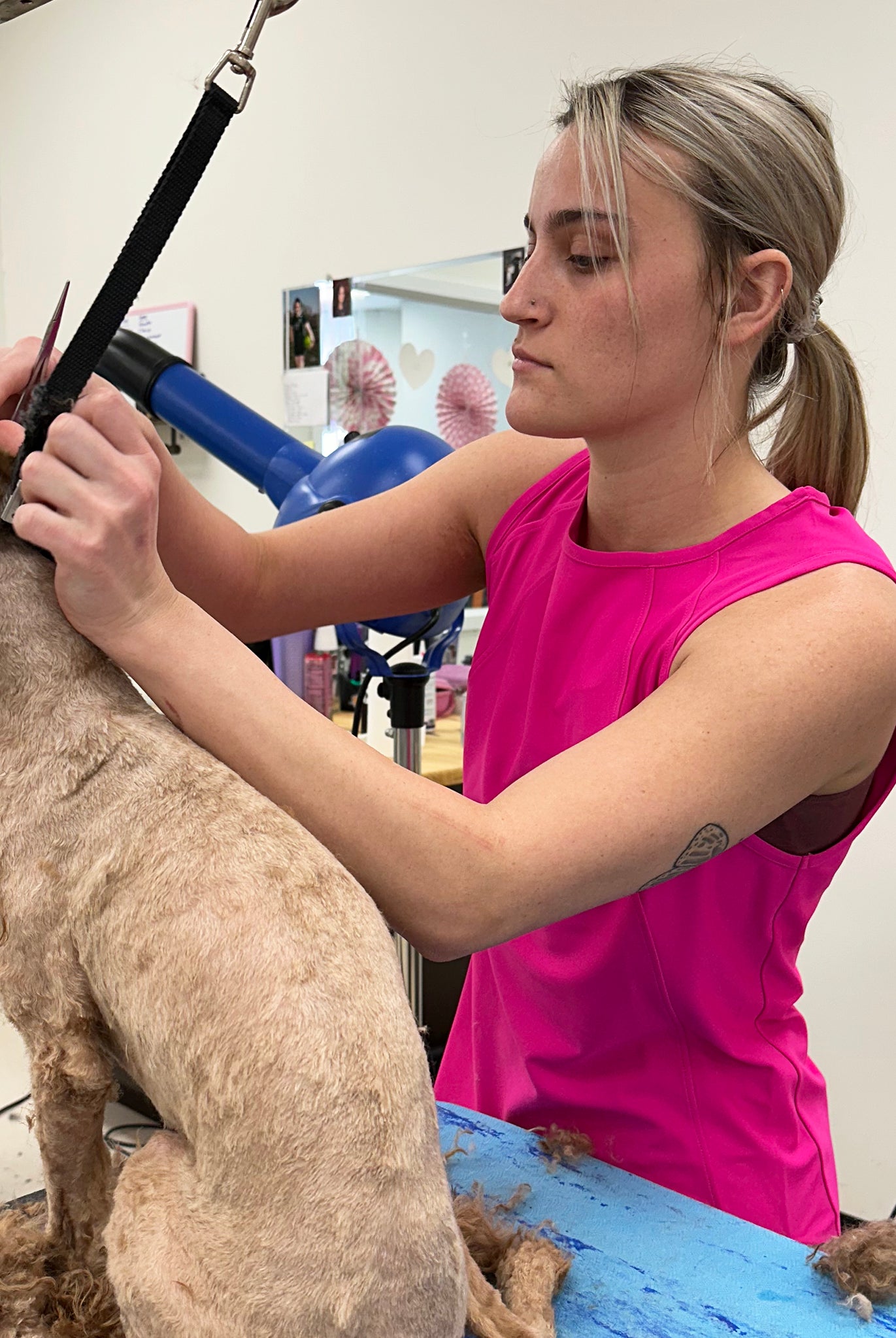 sleeveless grooming smock for women