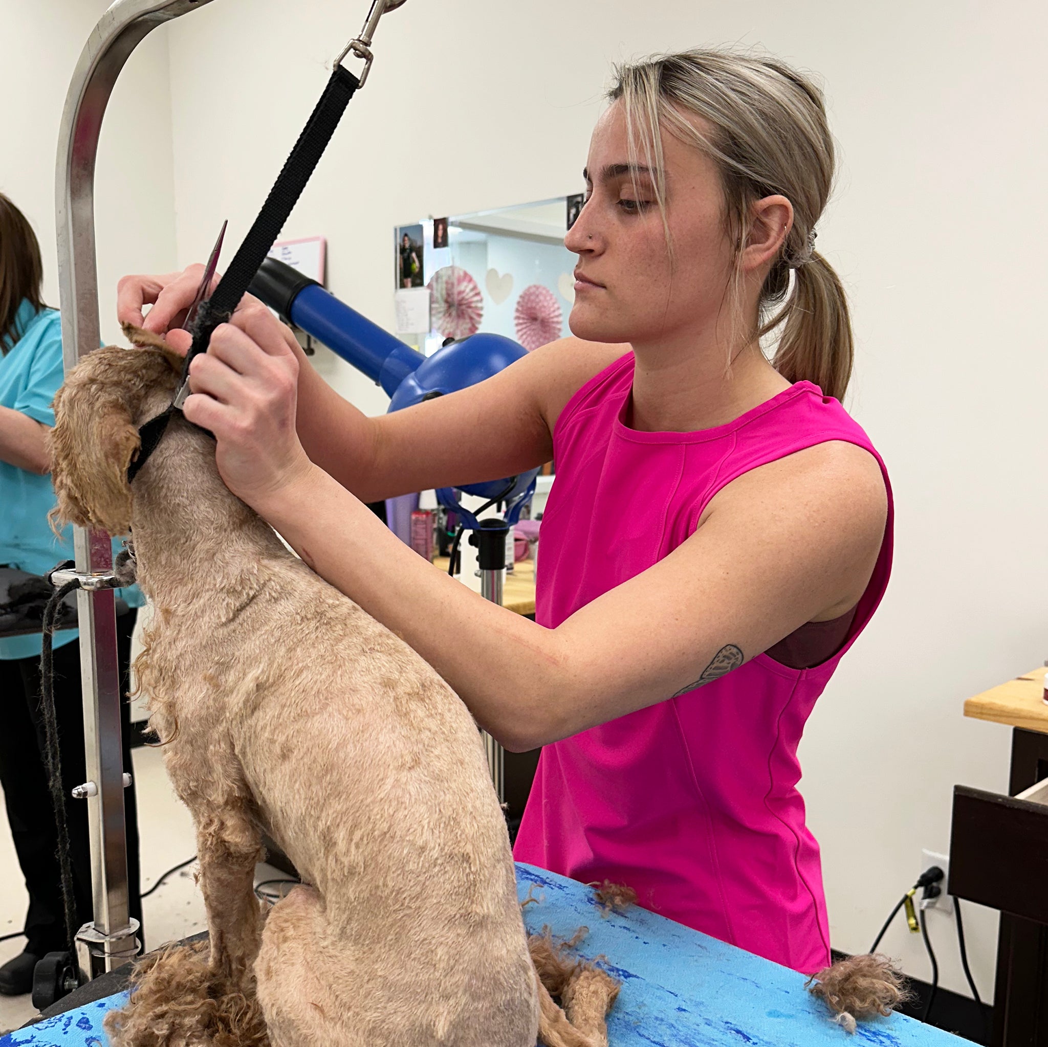 sleeveless grooming smock for women