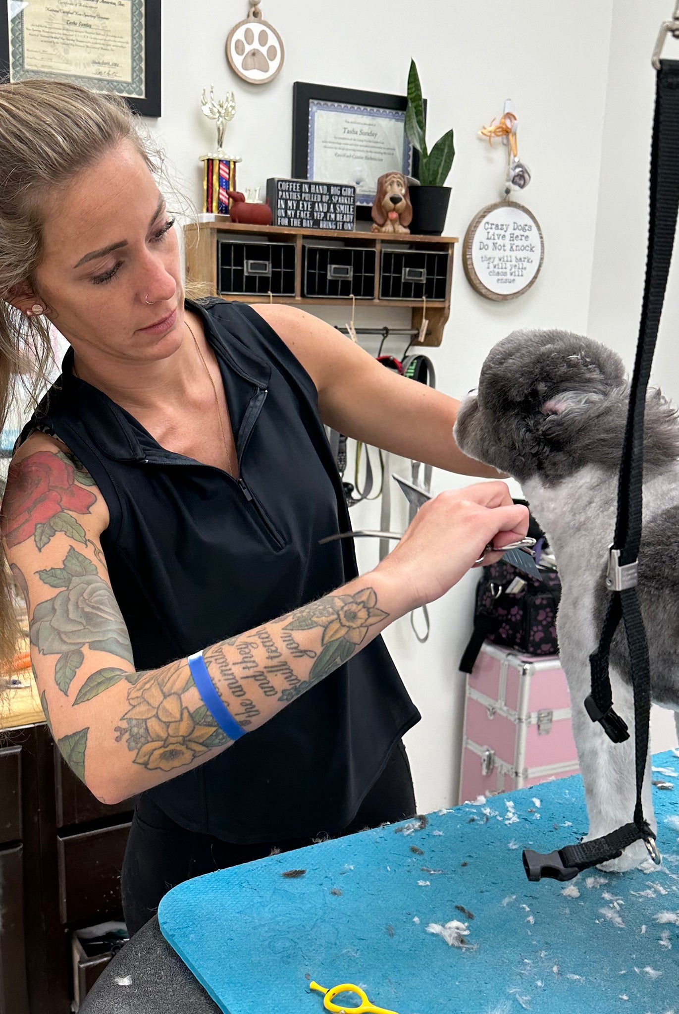 stretchy dog grooming apparel, stay cool while dog grooming