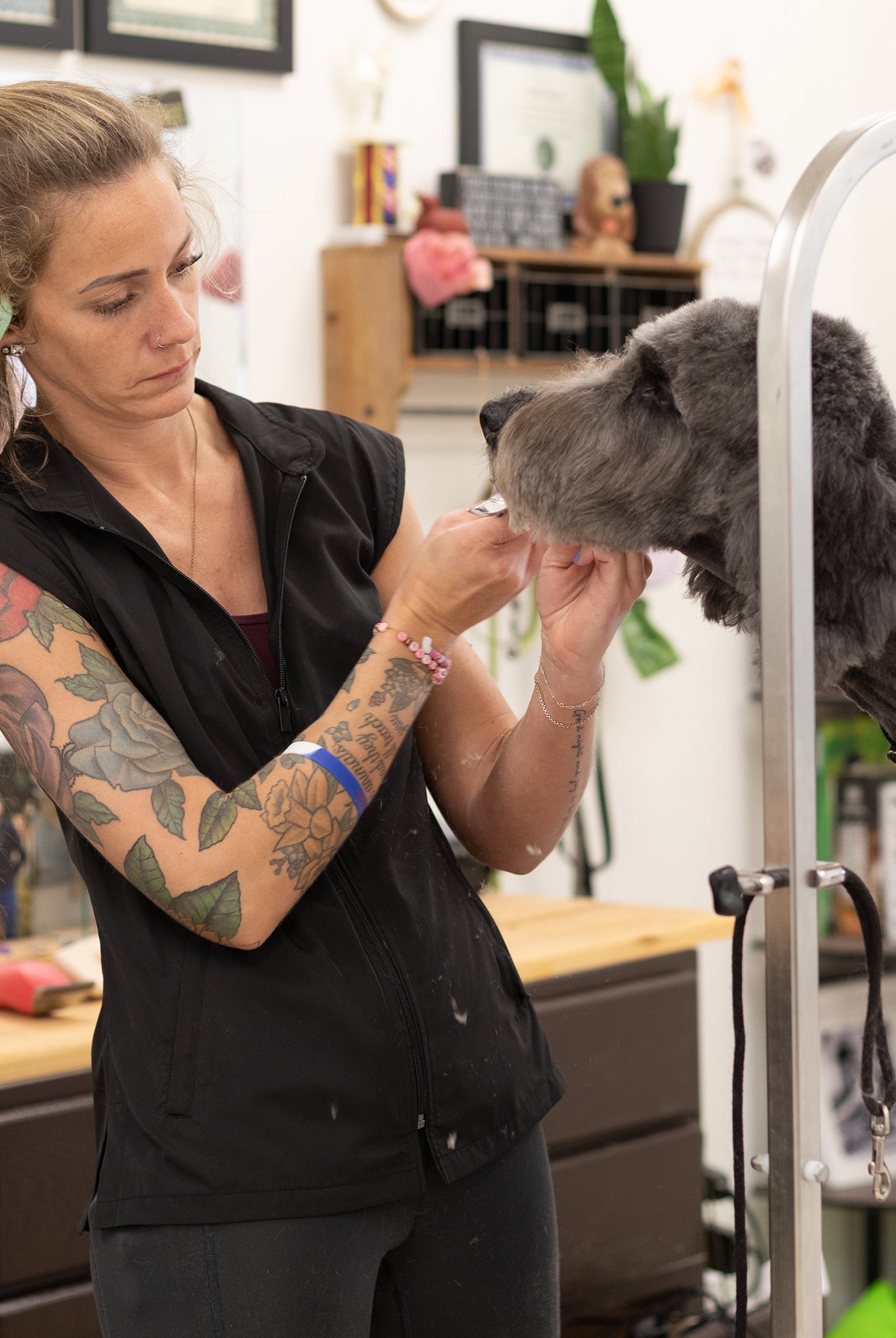 water-resistant dog grooming clothes