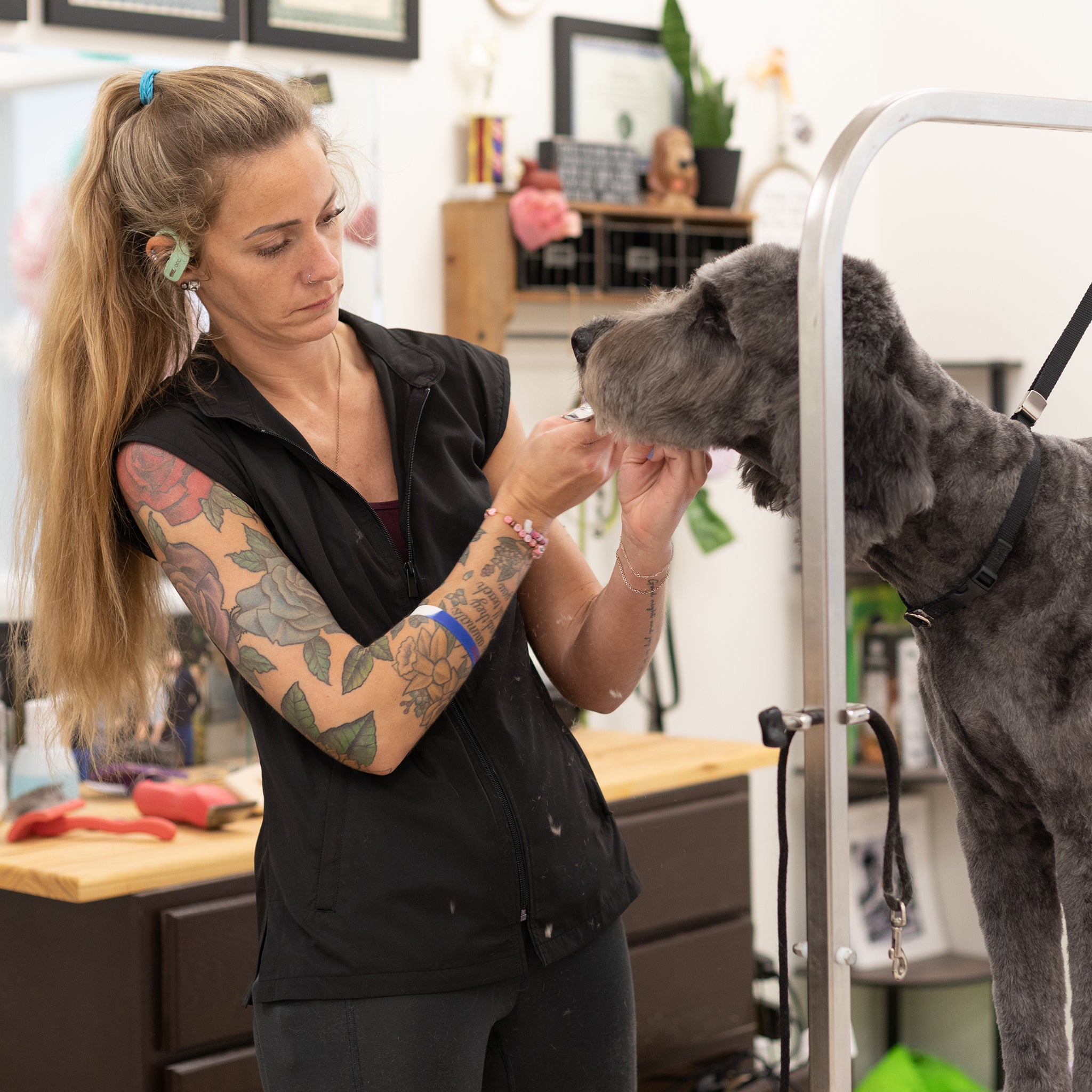 water-resistant dog grooming clothes