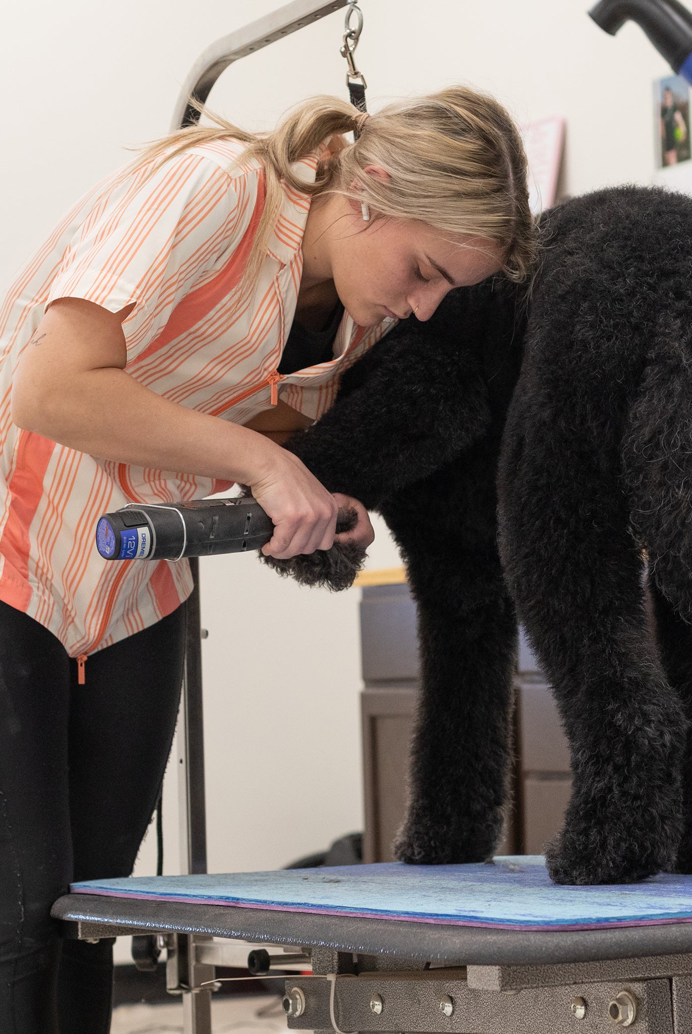 clothes for dog groomers, water resistant hair resistant