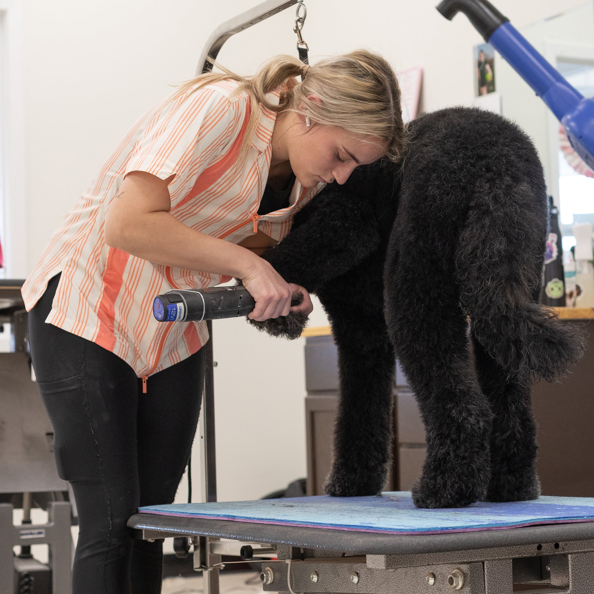 clothes for dog groomers, water resistant hair resistant