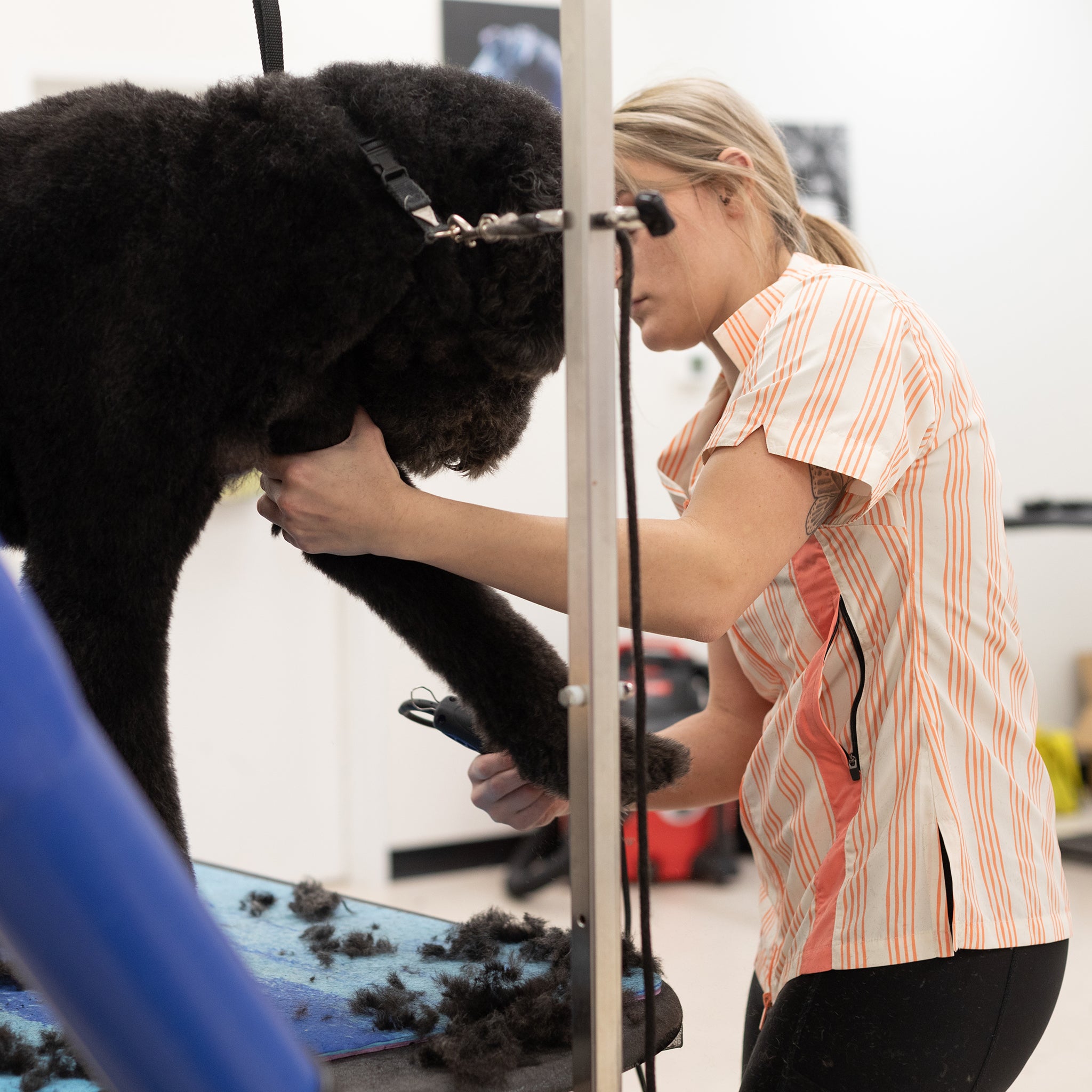 fun dog grooming jacket, retro grooming smock