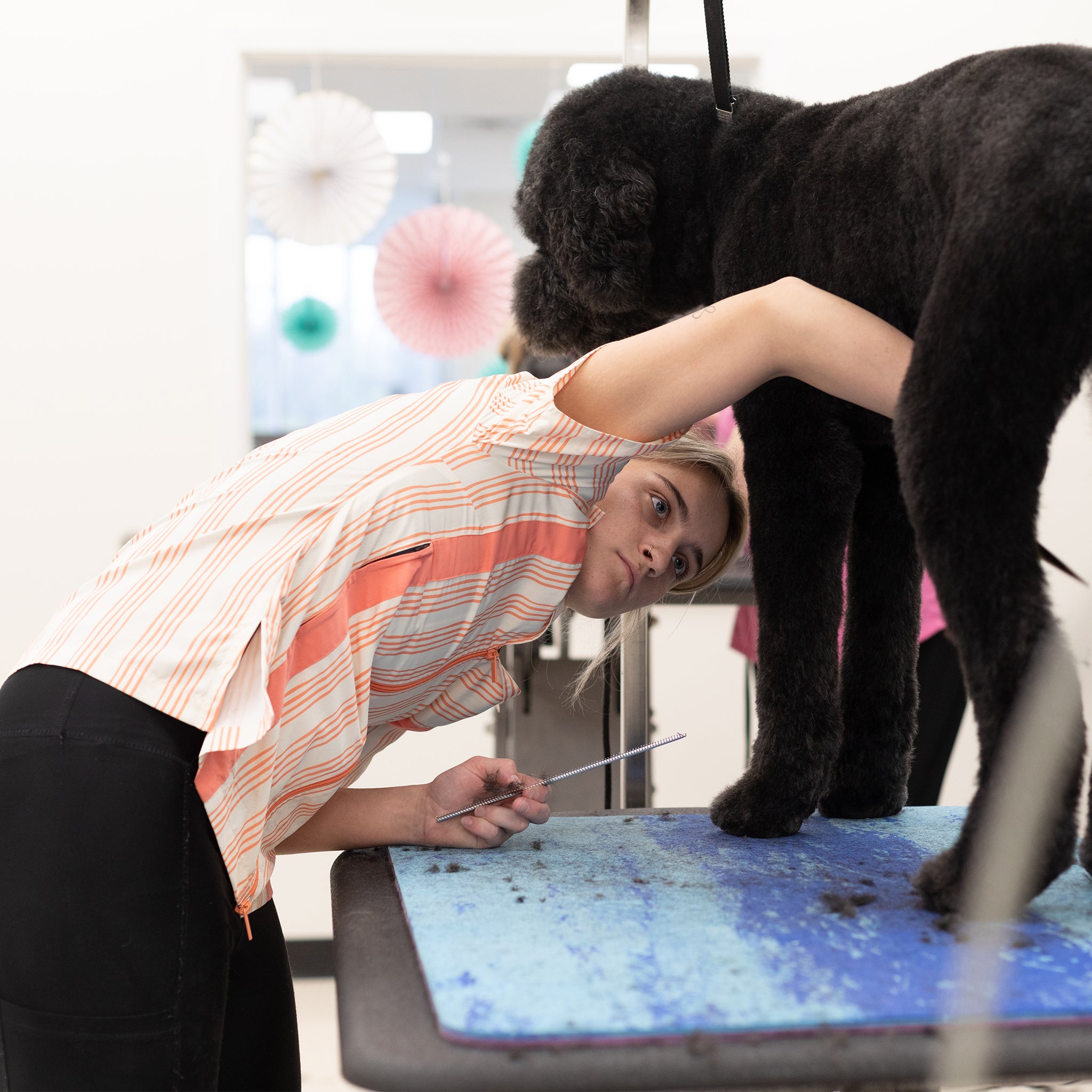 fur resistant grooming apparel