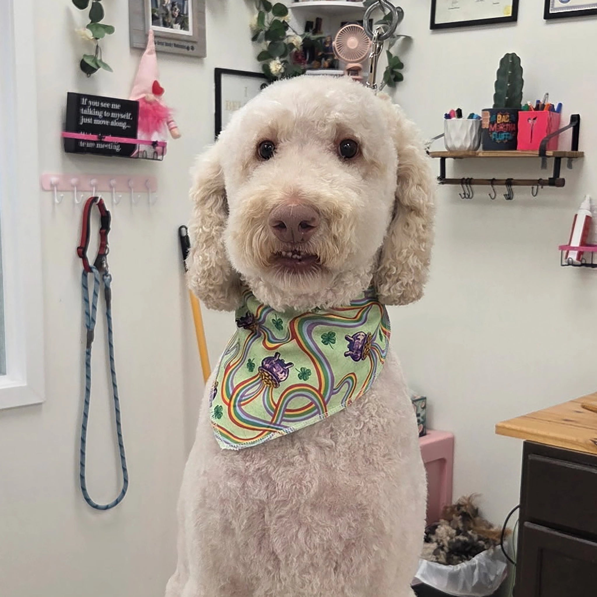 Dog wearing a colorful bandana in a pet grooming salon