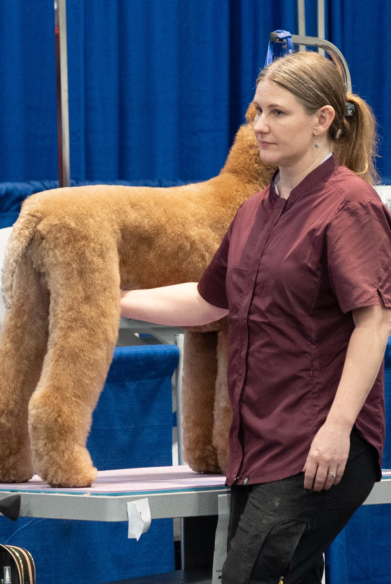 Woman standing next to a dog on a grooming table with blue curtains in the background