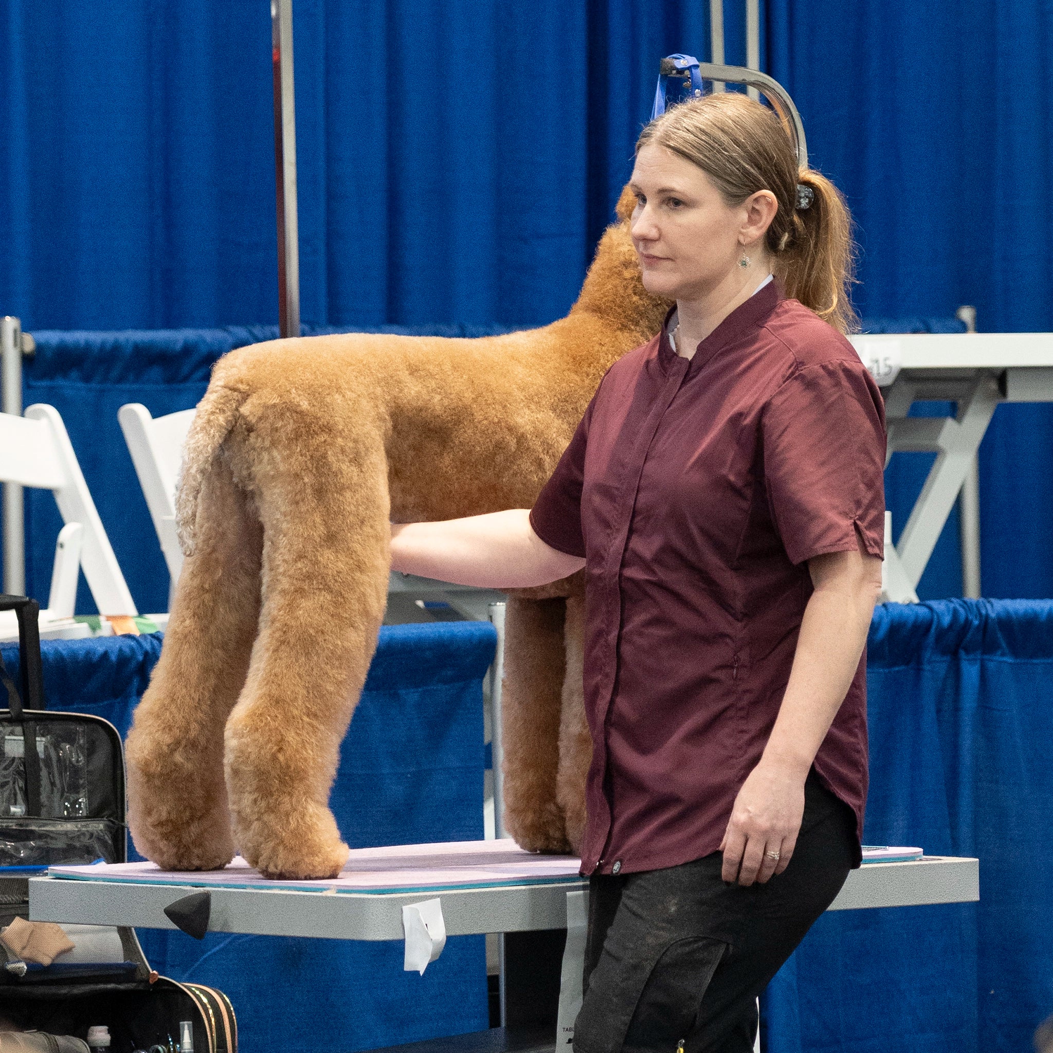 Woman standing next to a dog on a grooming table with blue curtains in the background
