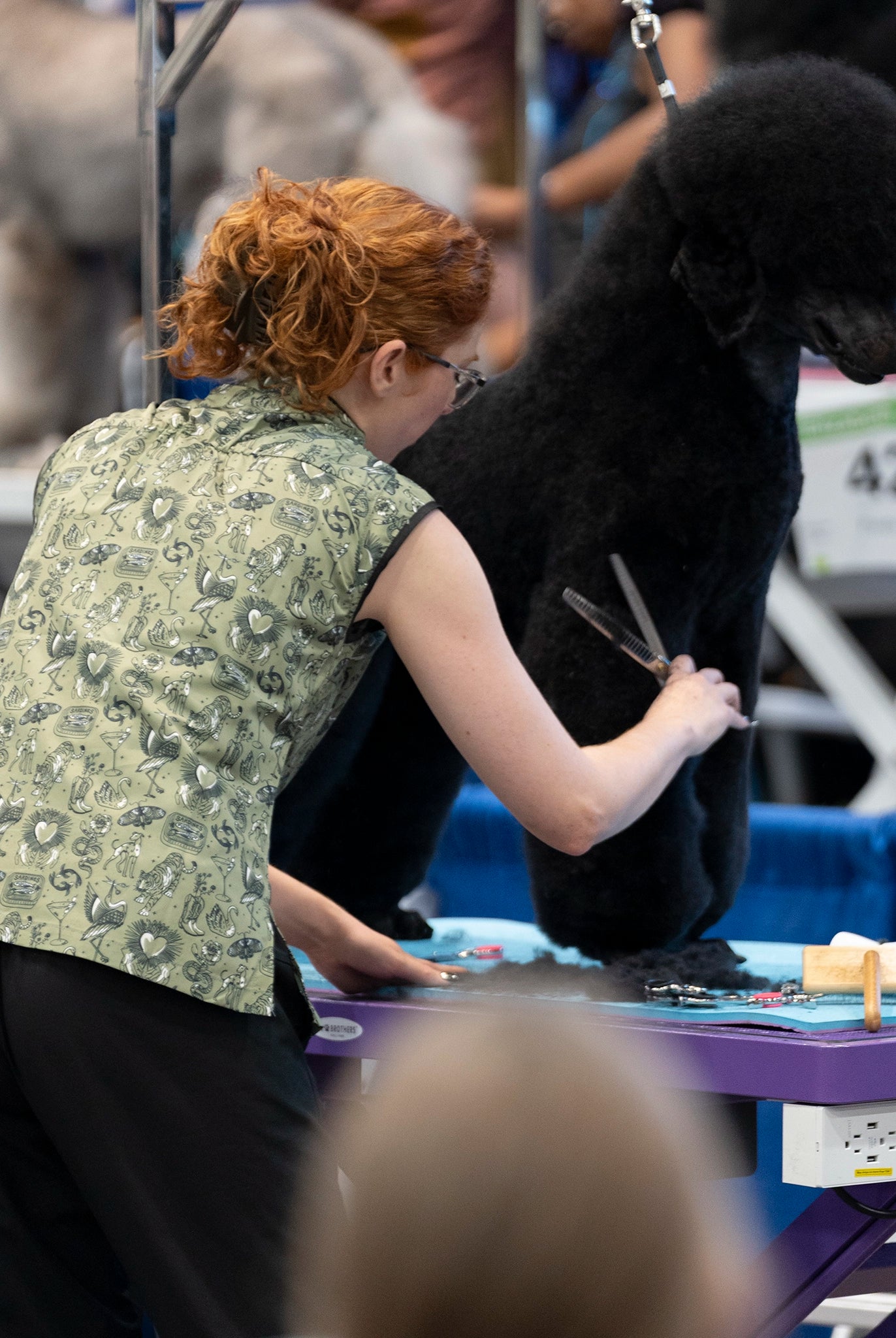 Person grooming a black dog at a dog show in cute dog grooming smock