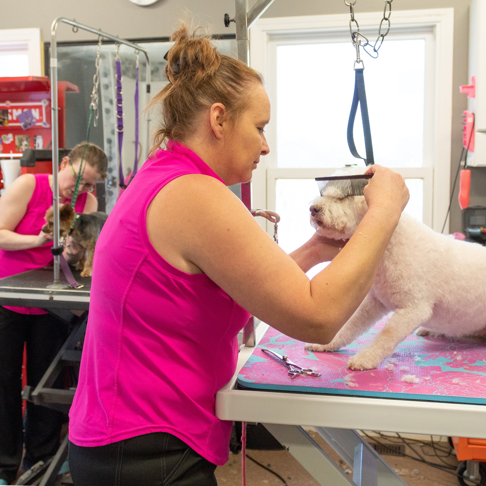 bright pink grooming smock, athletic grooming apparel for women, stretchy dog grooming top