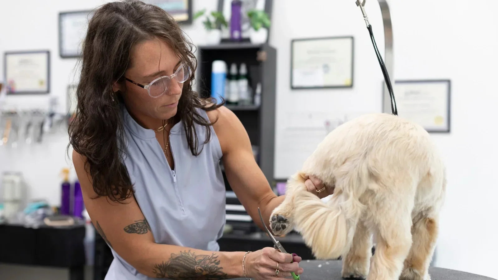 The Groomer’s Mental Health Toolkit: Burnout, Boundaries, and Recovery