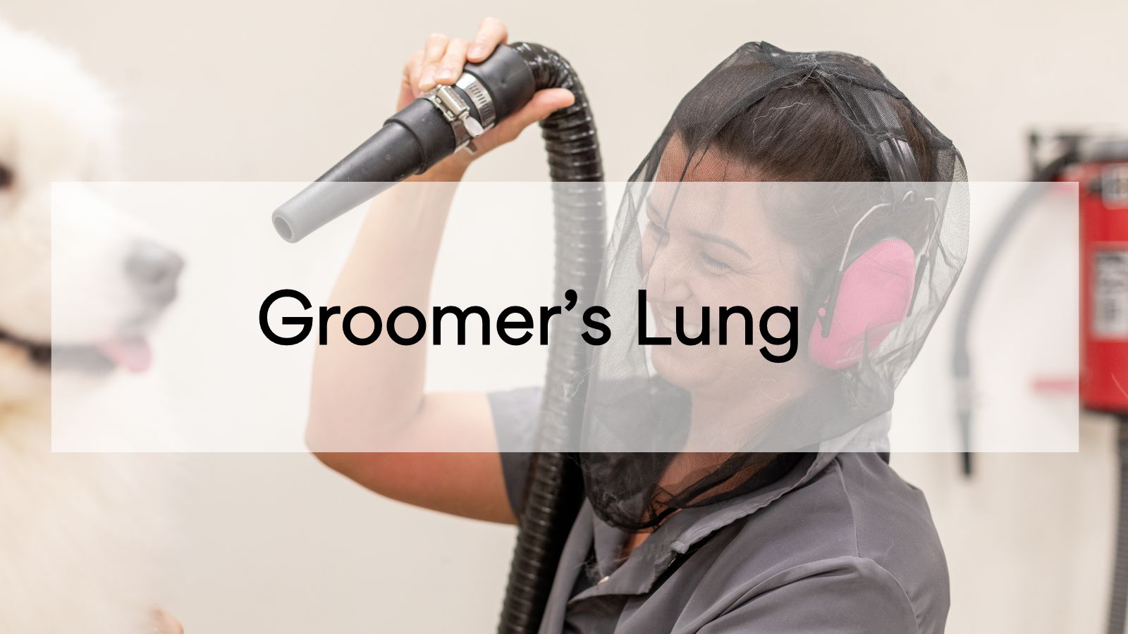 Groomer's Lung