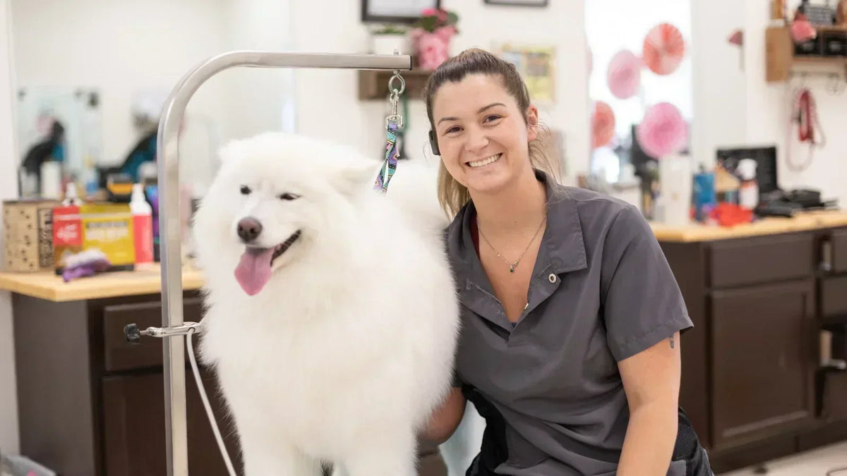What Groomers Wish Every Pet Parent Knew