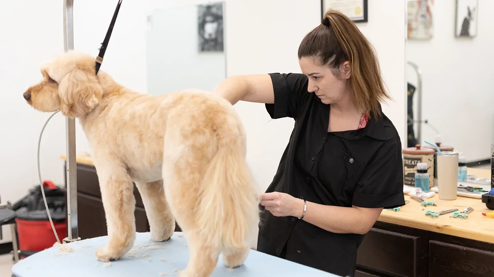 How to Stay Cool and Comfy While Grooming