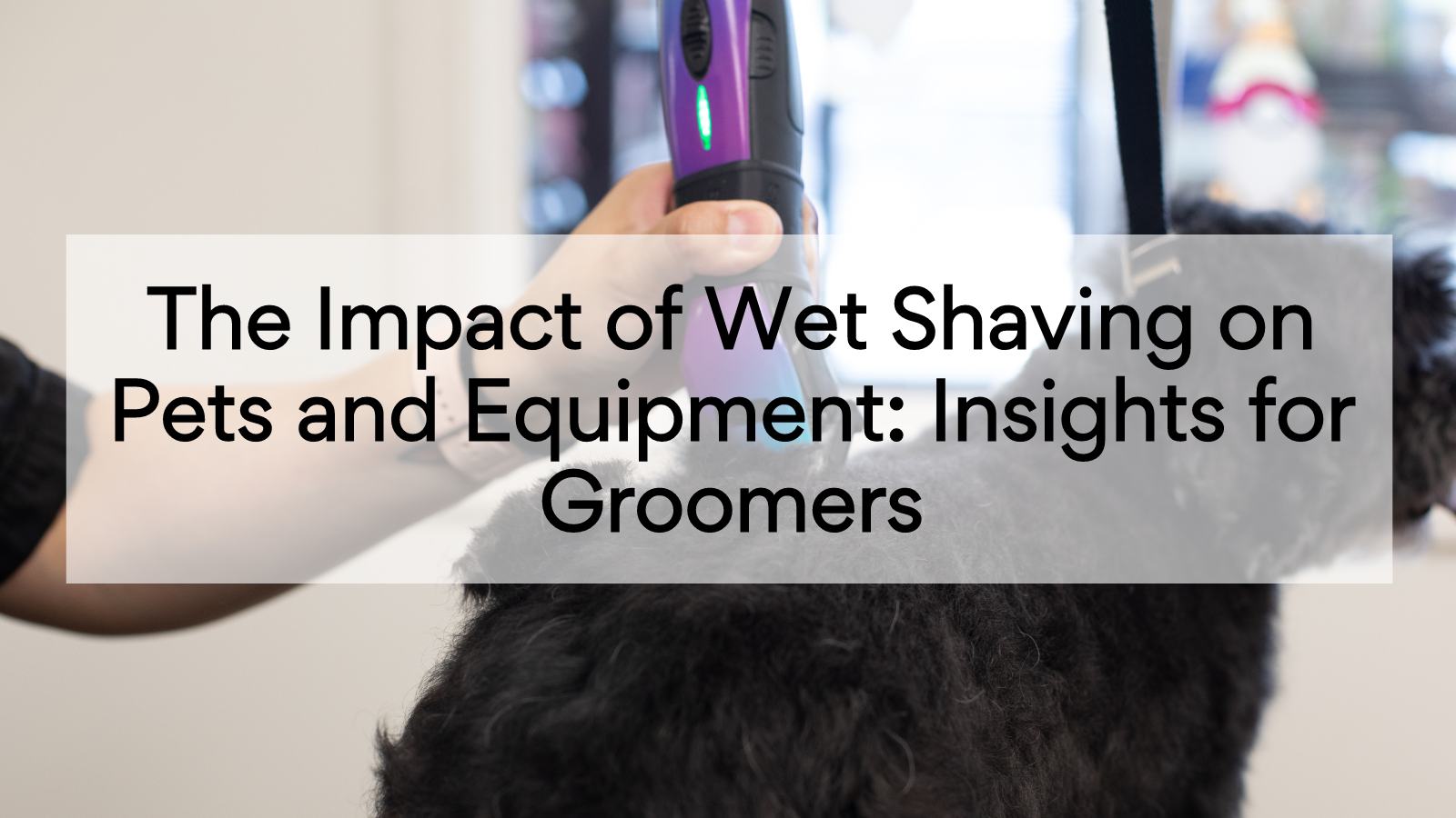 The Impact of Wet Shaving on Pets and Equipment: Insights for Groomers