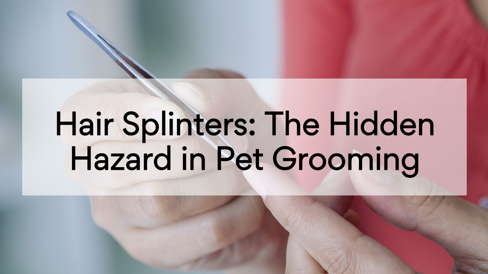 Hair Splinters: The Hidden Hazard in Pet Grooming