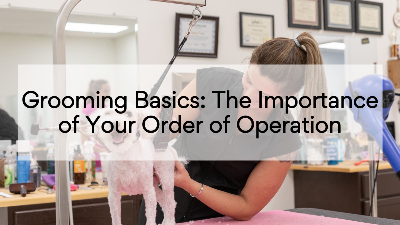 Grooming Basics: The Importance of Your Order of Operation