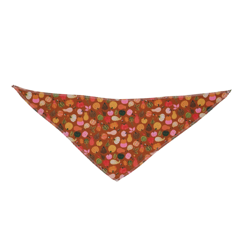 Pumpkin Parade Bandanas - 12 pack