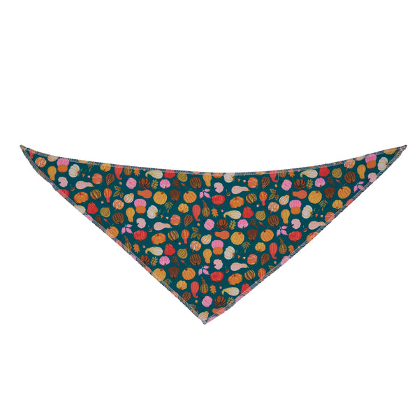 Punkin' Chunkin' Bandanas - 12 pack