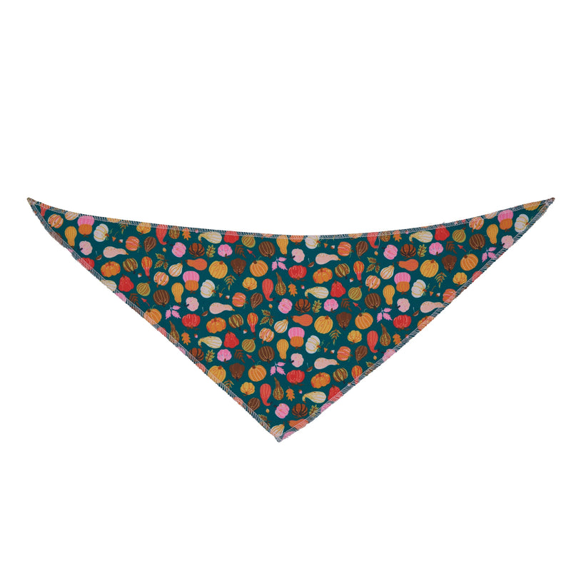 Punkin' Chunkin' Bandanas - 12 pack