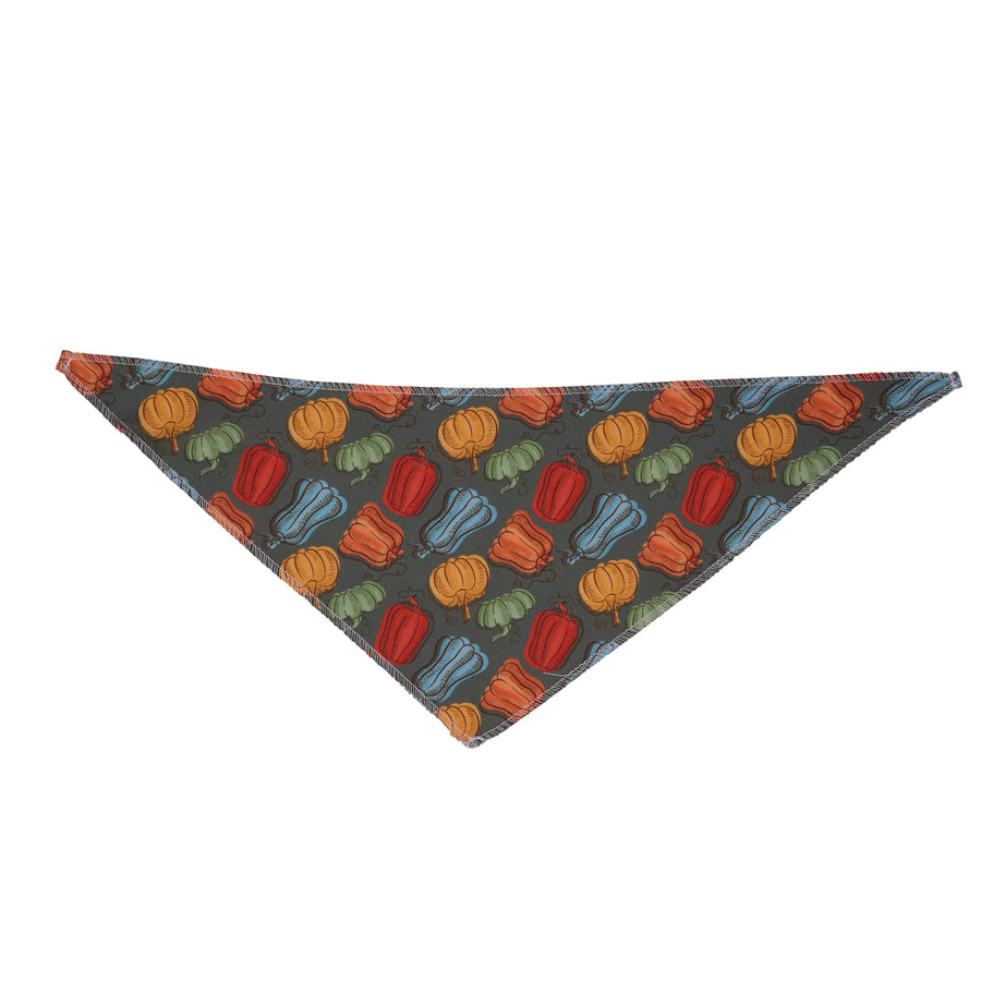 Pumpkin Doodles Bandanas - 12 pack