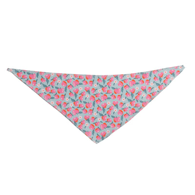 An Apple a Day Bandanas - 12 pack